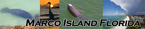 www.Marco-Island-Florida.us